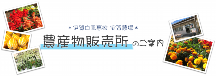 販売所のタイトル.png