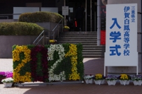 IMGP5721.JPG