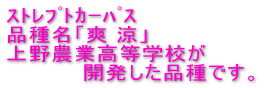 ブドウの種なし処理
