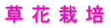 ブドウの種なし処理